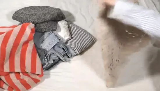 Biancheria da letto resistente, coperta, organizer, scatola portaoggetti pieghevole, trapunta, grandi sacchetti di tela, borsa per la lavanderia, borsa trasparente con cerniera, per vestiti, biancheria intima da donna, reggiseno, borsa