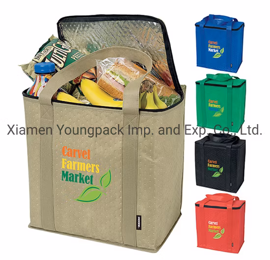 Organizzatore di lattine personalizzato Scatola frigo Borsa per la consegna degli alimenti Borsa per il pranzo da picnic in tessuto non tessuto Grande borsa termica termica per la spesa